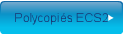 Polycopis ECS2